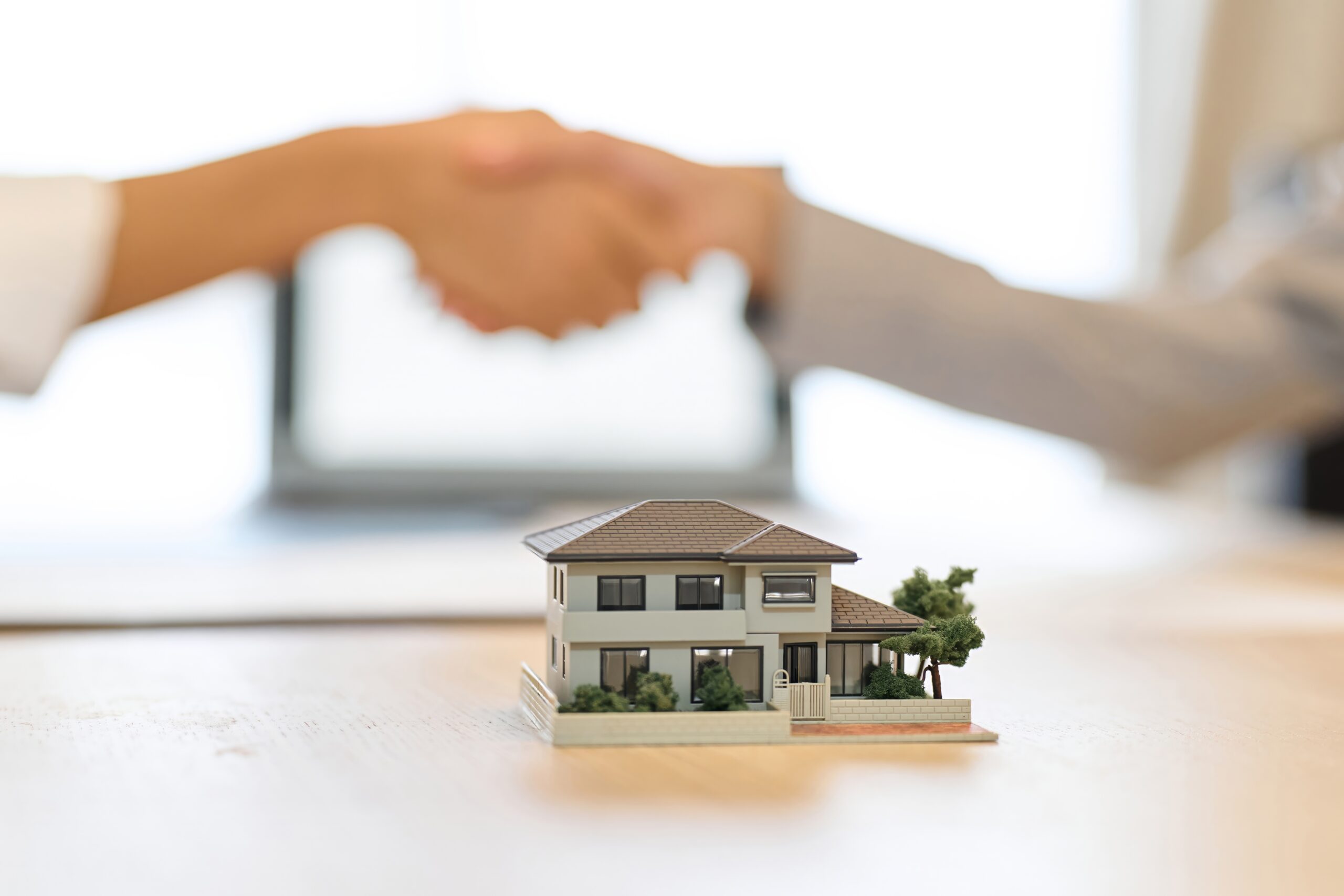 Buyer and real estate advisor shaking hands during a New Jersey home consultation